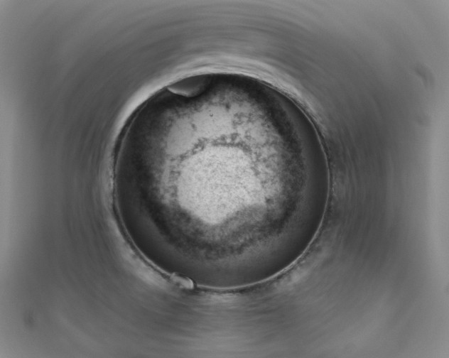 X0000110741522200906151053