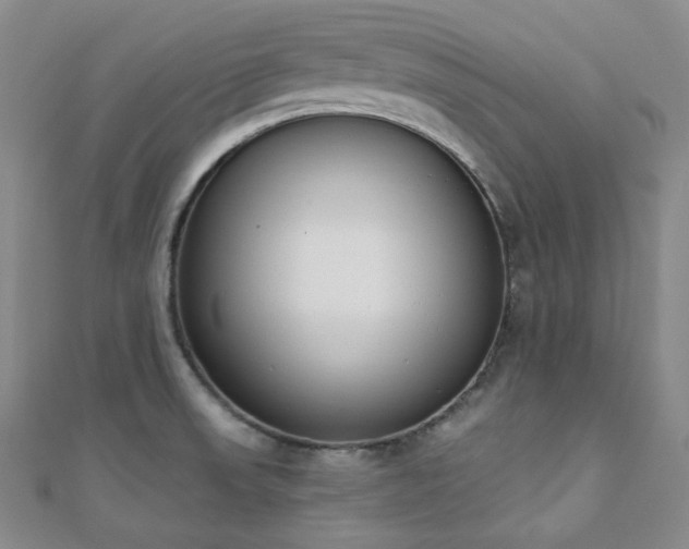 X0000110741523200906151053
