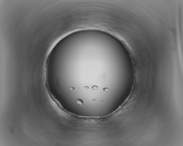 X0000110741524200906151053