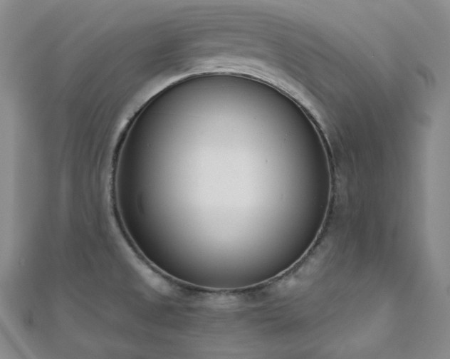 X0000110741525200906151053