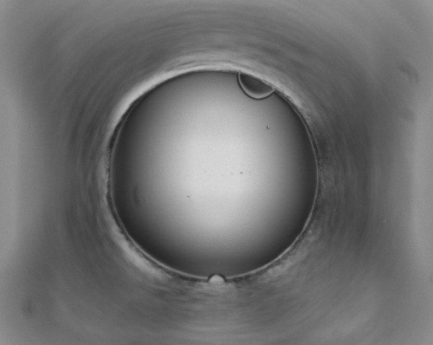 X0000110741526200906151053