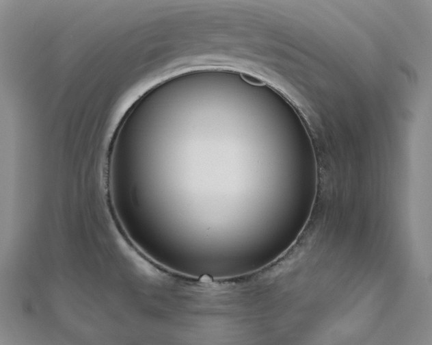 X0000110741527200906151053