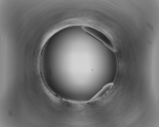 X0000110741528200906151053