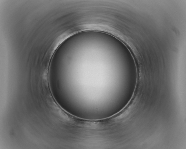 X0000110741529200906151053