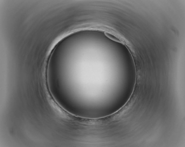X0000110741530200906151053