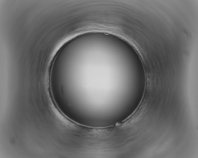 X0000110741531200906151053