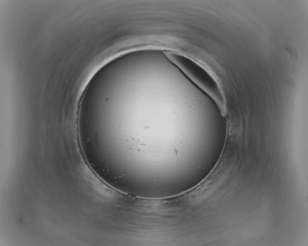 X0000110741532200906151053