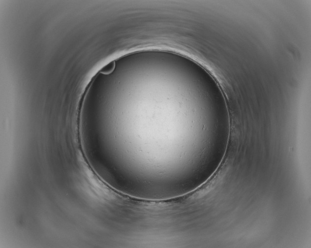 X0000110741534200906151053