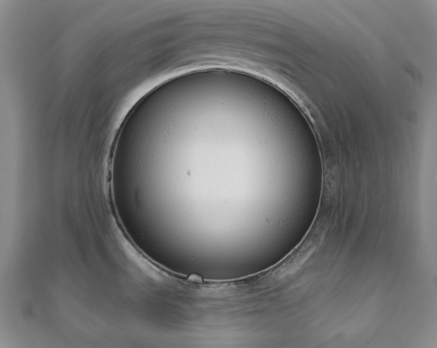 X0000110741535200906151053