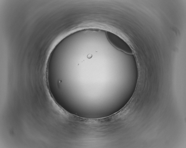 X0000110741536200906151053