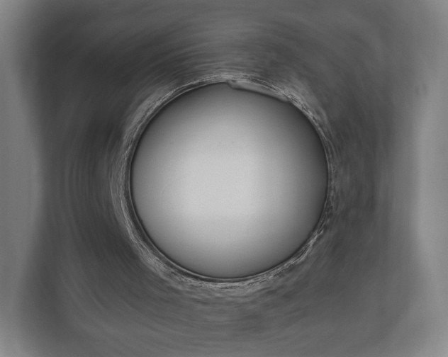 X0000110740001200906221038