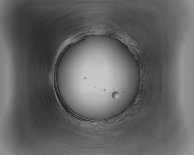 X0000110740003200906221038