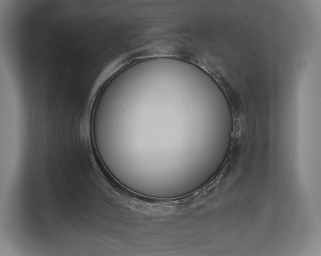 X0000110740004200906221038
