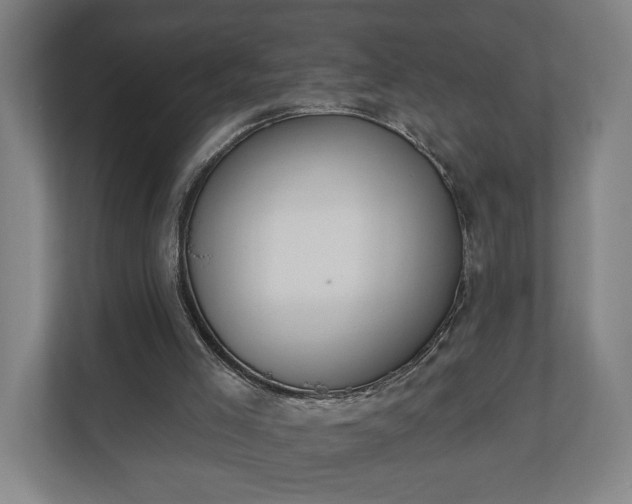 X0000110740005200906221038