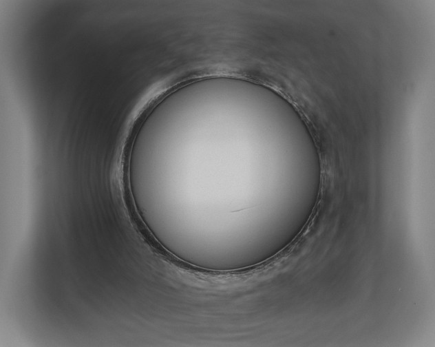 X0000110740006200906221038