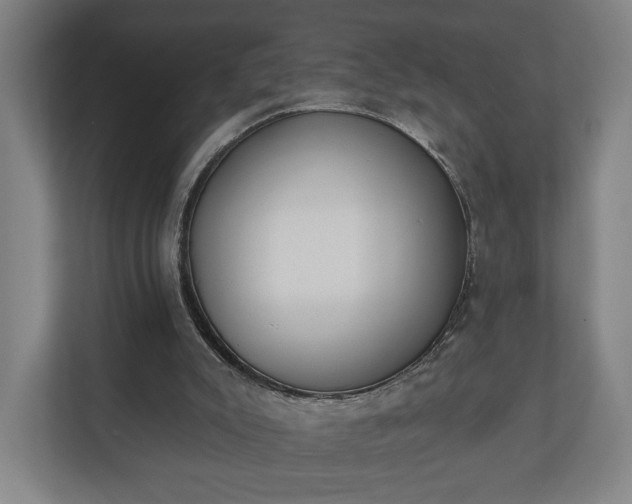 X0000110740007200906221038