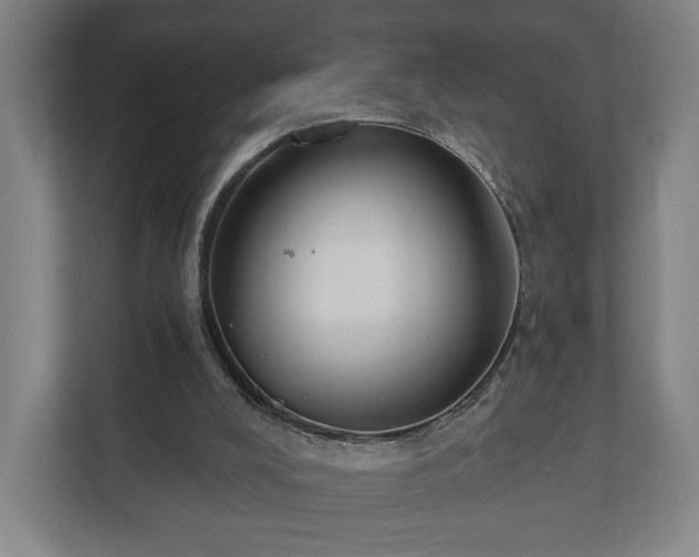 X0000110740008200906221038