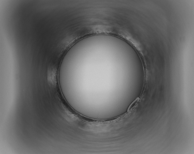 X0000110740009200906221038
