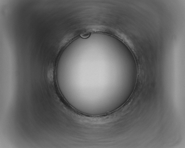 X0000110740010200906221038