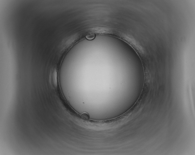 X0000110740014200906221038