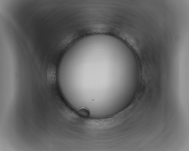 X0000110740017200906221038