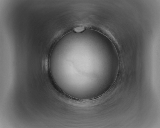 X0000110740019200906221038