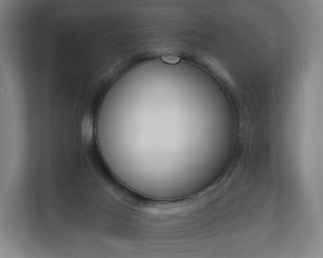 X0000110740021200906221037