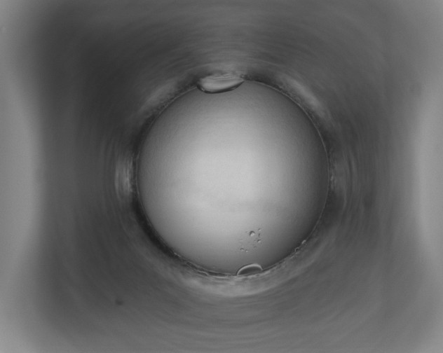 X0000110740023200906221037