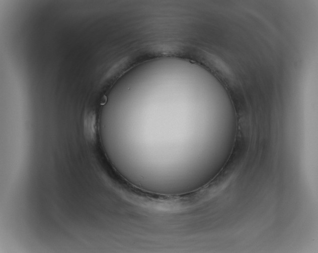X0000110740024200906221037
