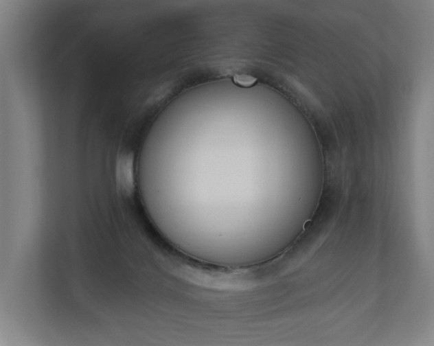 X0000110740028200906221037