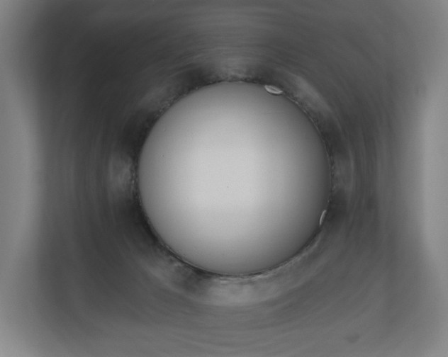 X0000110740029200906221037