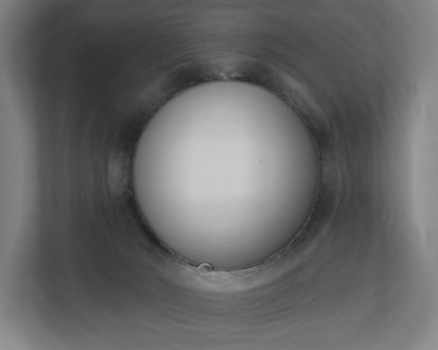 X0000110740030200906221037