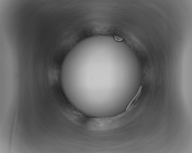X0000110740033200906221037