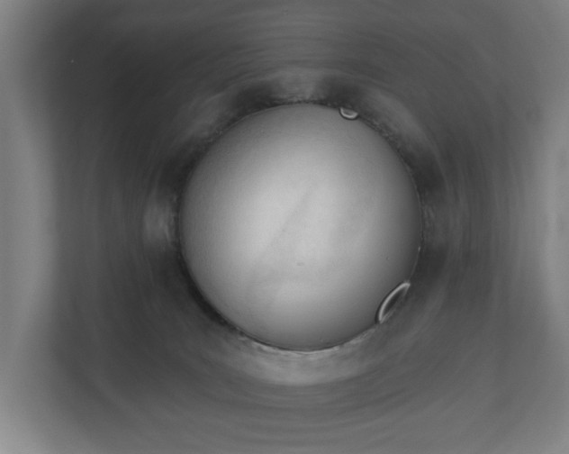 X0000110740035200906221037