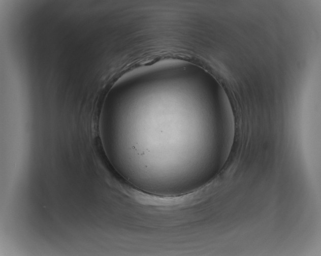 X0000110740039200906221037