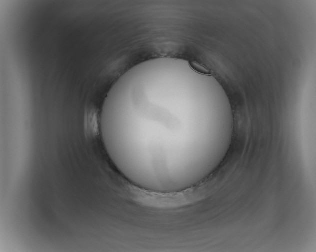 X0000110740042200906221037