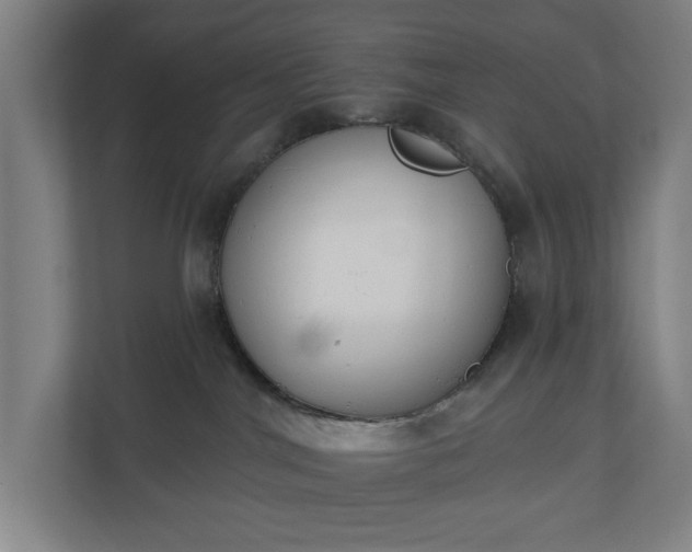 X0000110740044200906221037