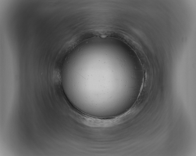 X0000110740048200906221037