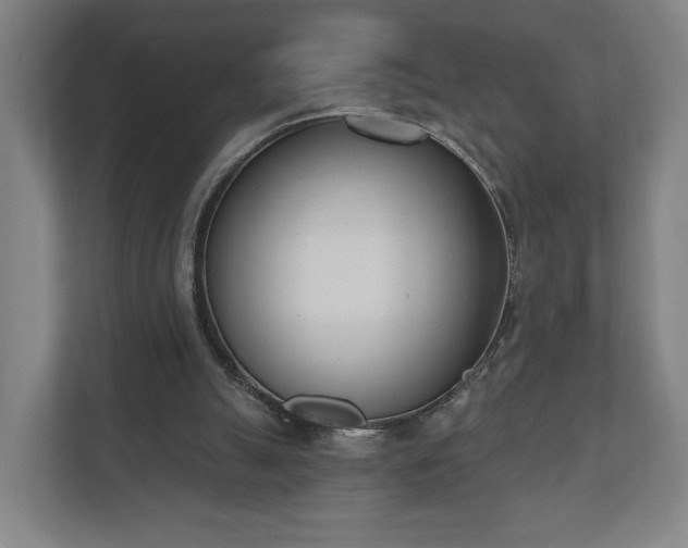 X0000110740055200906221037