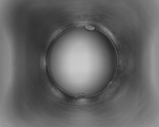 X0000110740059200906221037