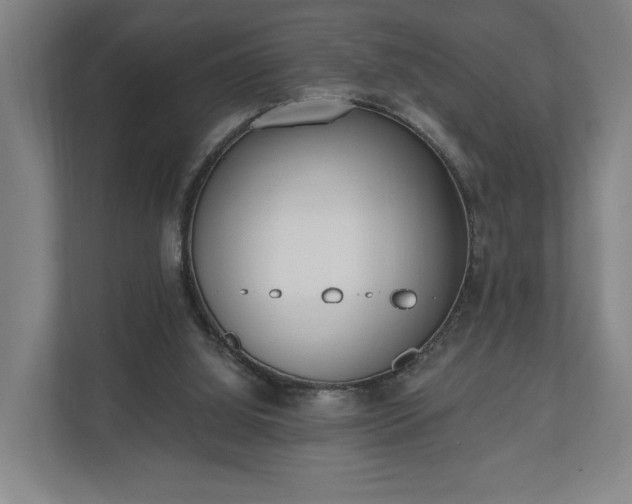 X0000110740060200906221037