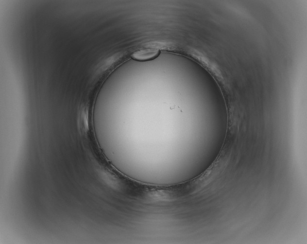 X0000110740062200906221037