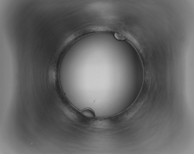 X0000110740063200906221037