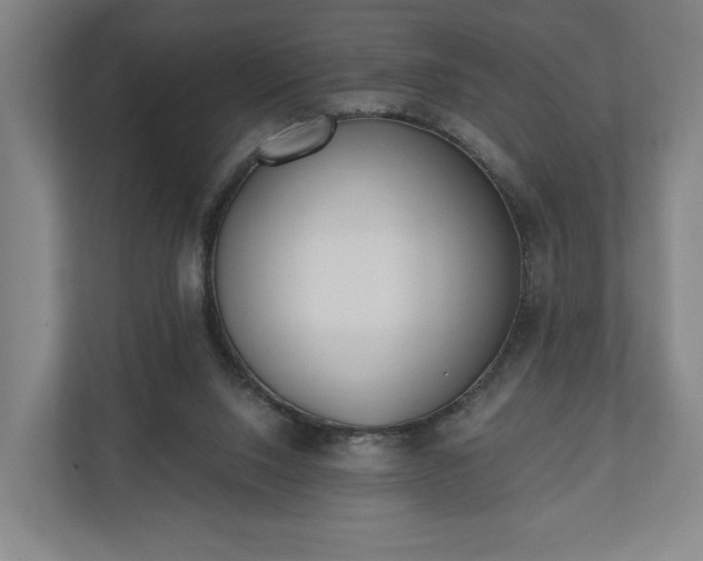X0000110740064200906221037