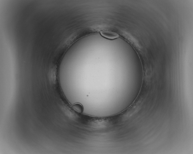 X0000110740065200906221037