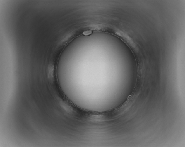 X0000110740066200906221037