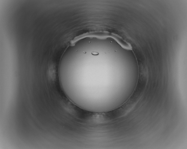 X0000110740080200906221037
