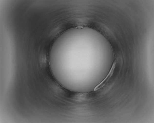 X0000110740084200906221037