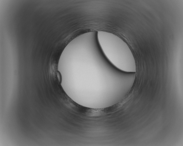 X0000110740093200906221037