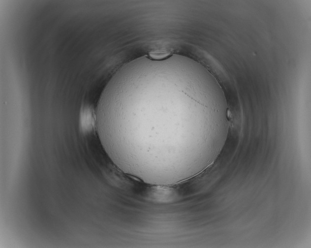 X0000110740095200906221037
